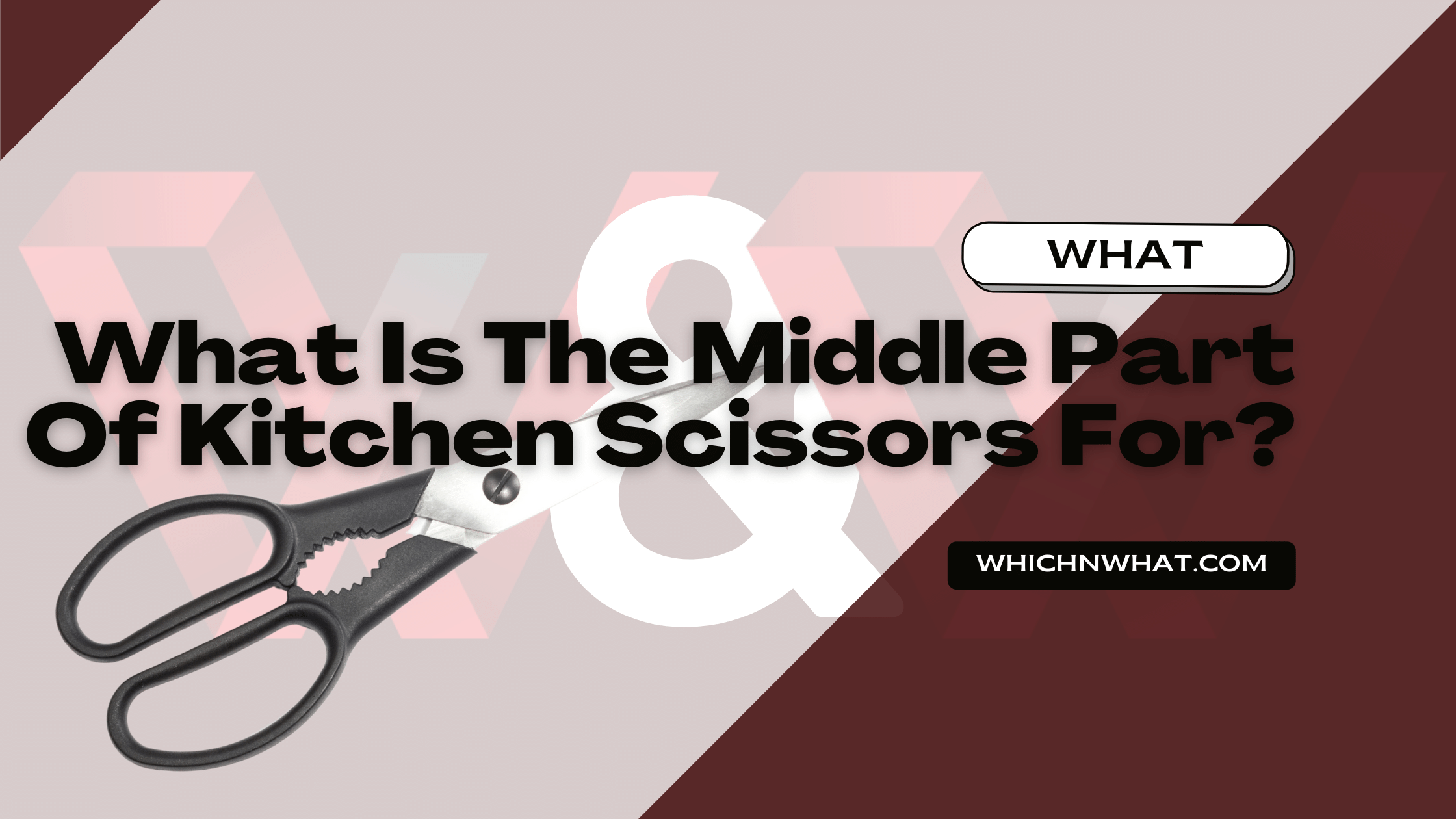 What Is The Middle Part Of Kitchen Scissors For? Explained
