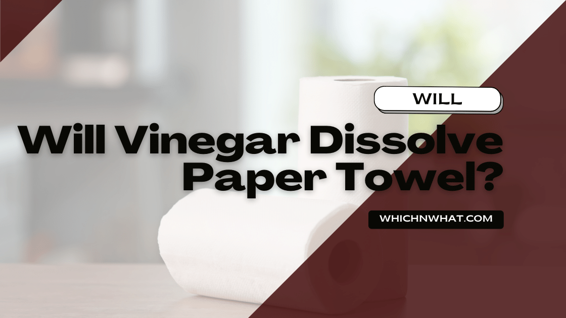 Will Vinegar Dissolve Paper Towel? Well Explained Which & What