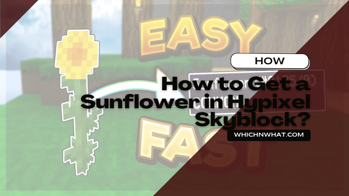 How to Get a Sunflower in Hypixel Skyblock? - Which & What